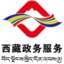 西藏政务服务一网通办