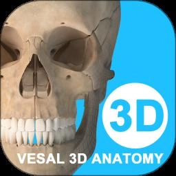 维萨里3D解剖手机版