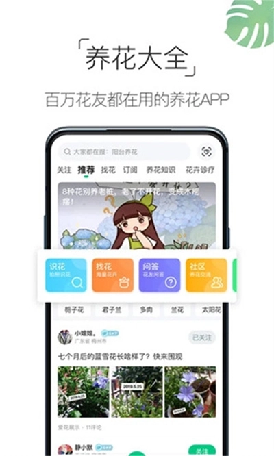 养花大全安装 3