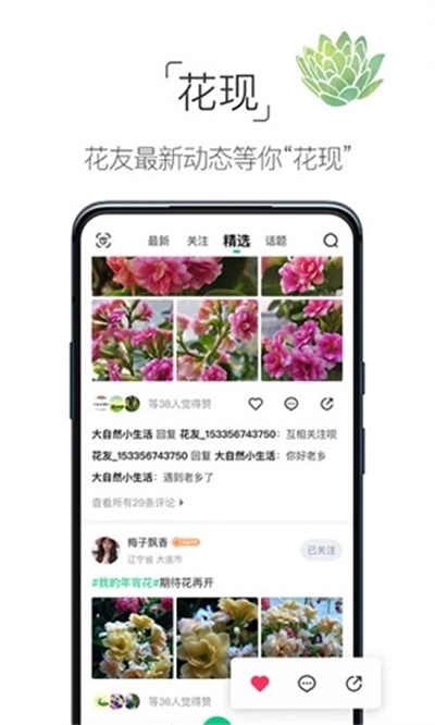 养花大全安装 4