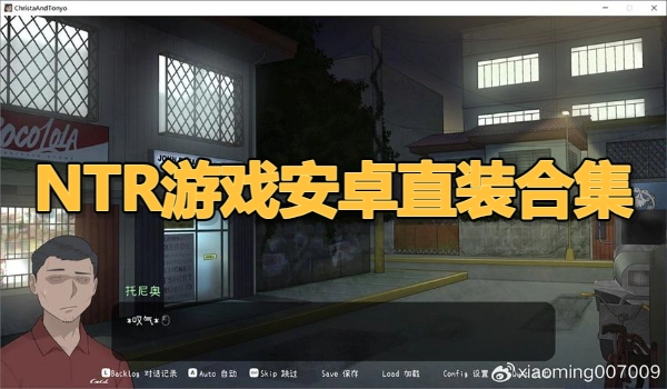 NTR游戏安卓直装合集