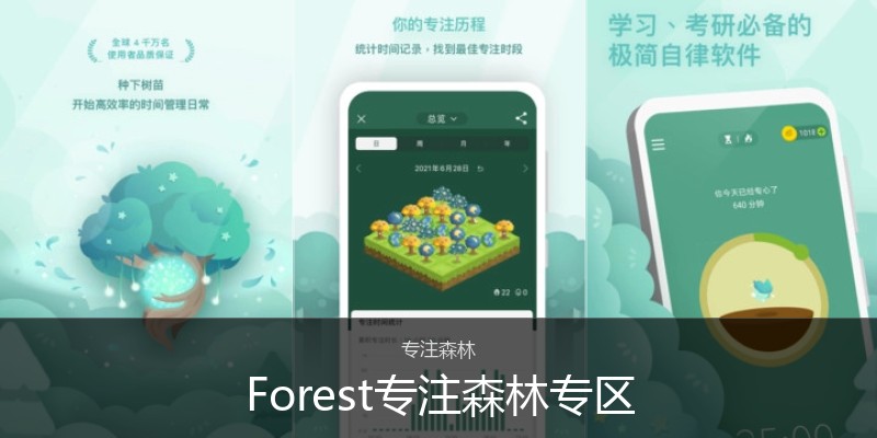 Forest专注森林专区