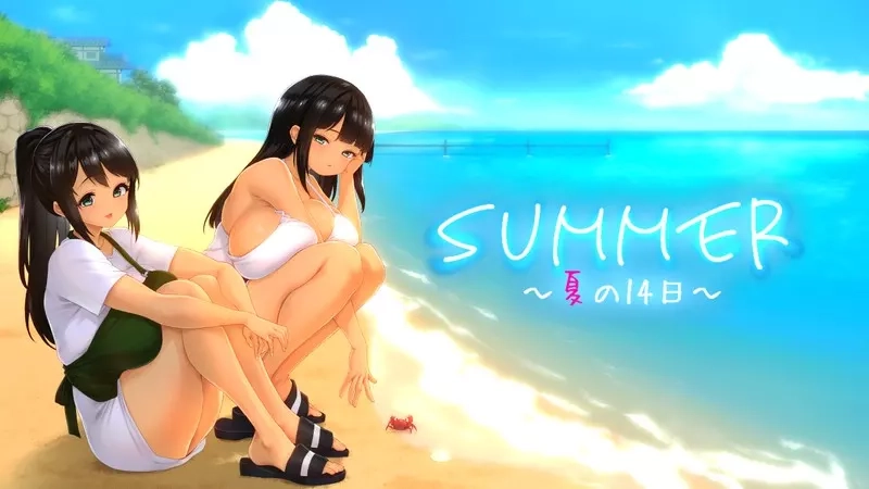 夏日十四天游戏封面