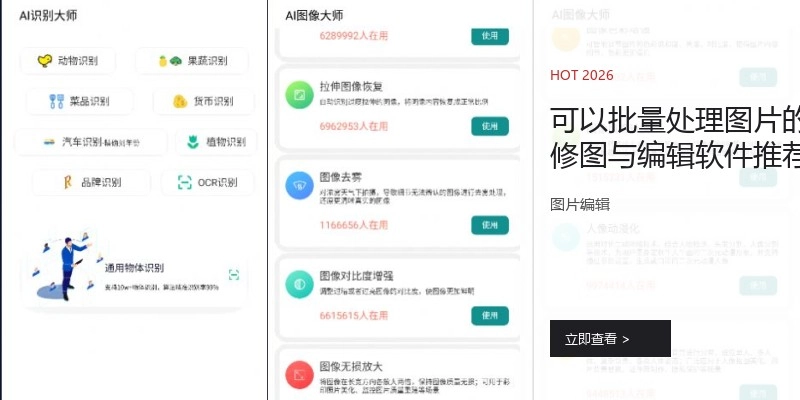 可以批量处理图片的修图与编辑软件推荐