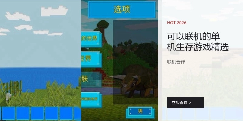 可以联机的单机生存游戏精选