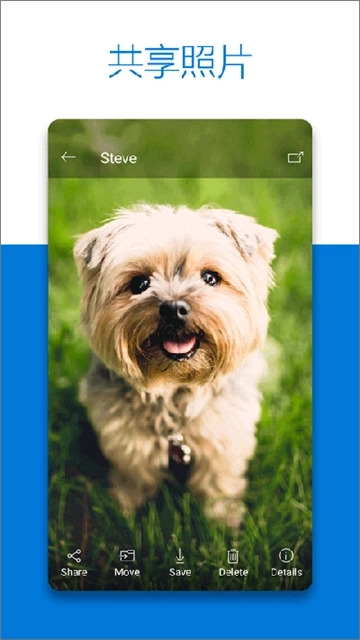 OneDrive安卓版下载