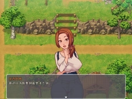我的乡村日常生活攻略完整版
