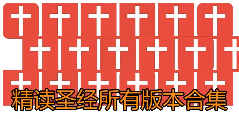 精读圣经所有版本合集