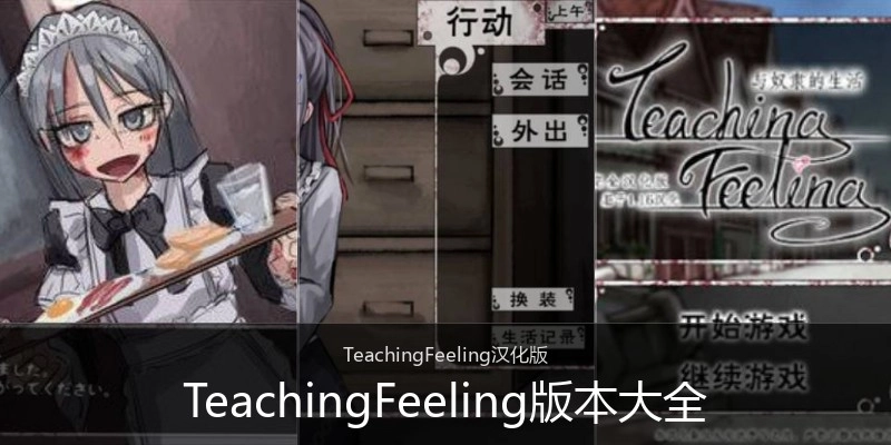 TeachingFeeling版本大全