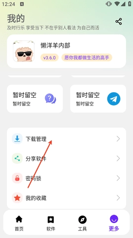 懒洋羊软件库下载管理界面