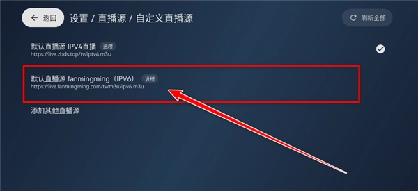 IPv6选项设置