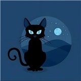 夜猫子辅助器图标