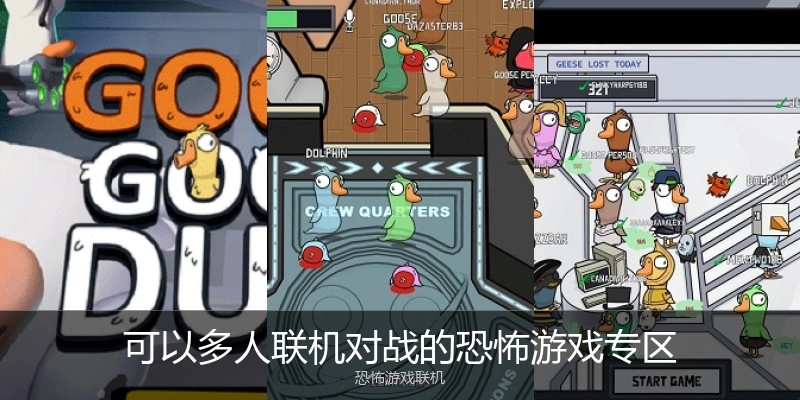 可以多人联机对战的恐怖游戏专区