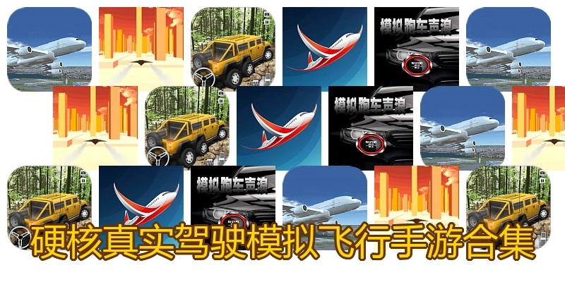 硬核真实驾驶模拟飞行手游合集