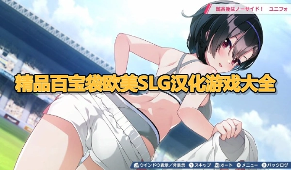 精品百宝袋欧美SLG汉化游戏大全
