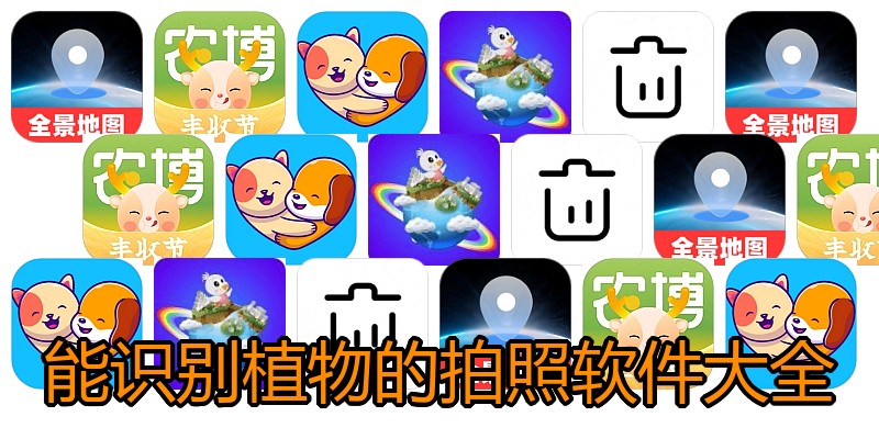 能识别植物的拍照软件大全