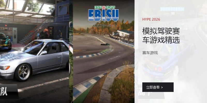 模拟驾驶赛车游戏精选