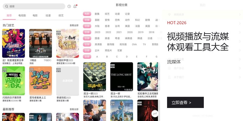 视频播放与流媒体观看工具大全