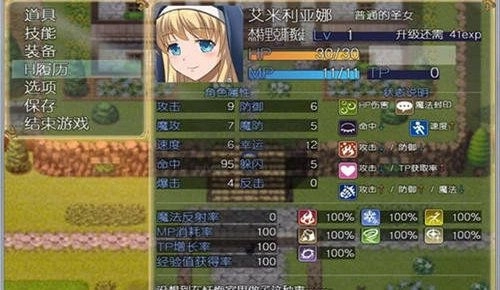 魔契的圣女游戏最新版2