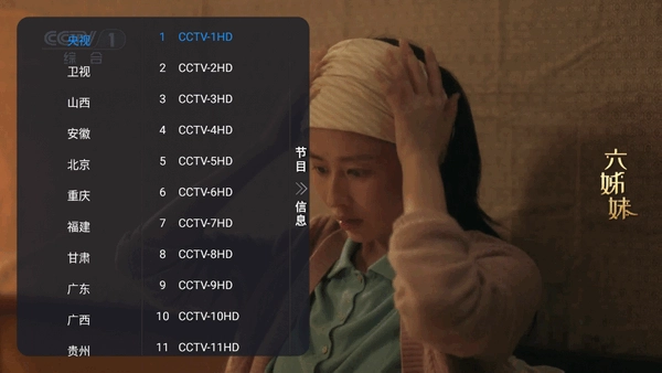昭昭TV分类播放界面截图