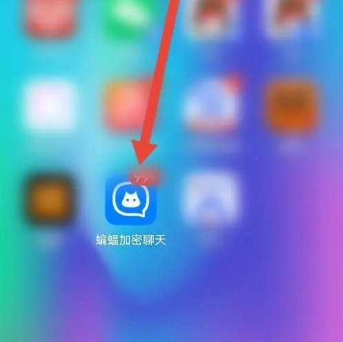 蝙蝠聊天软件下载