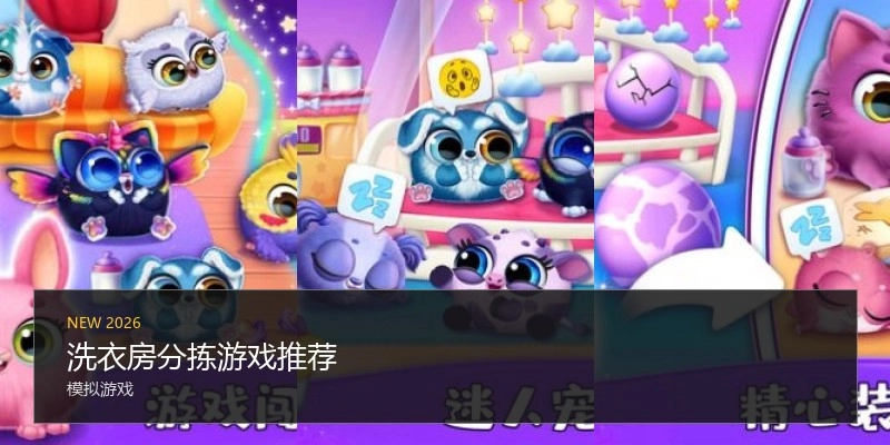 洗衣房分拣游戏推荐