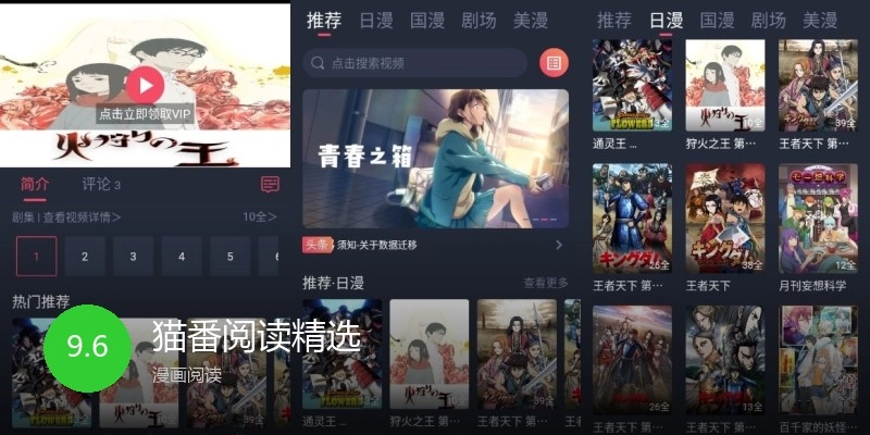 猫番阅读精选