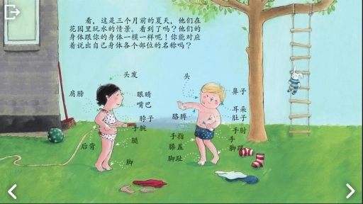 绘本后续身体结构内容展示图