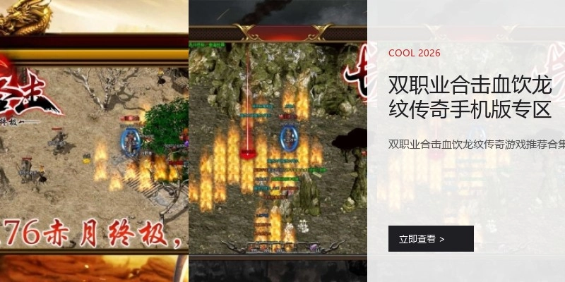 双职业合击血饮龙纹传奇手机版专区