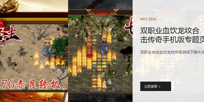 双职业血饮龙纹合击传奇手机版专题页
