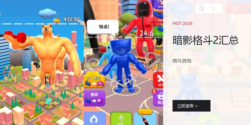 暗影格斗2汇总