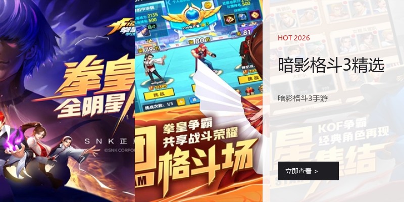 暗影格斗3精选