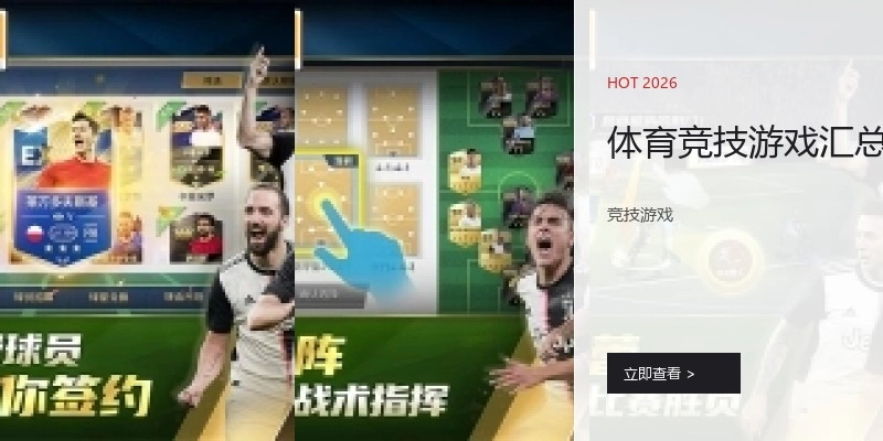 体育竞技游戏汇总
