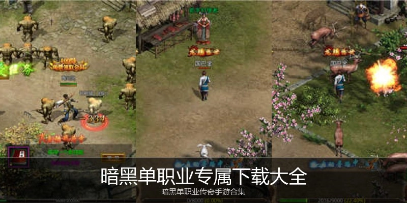 暗黑单职业专属下载大全