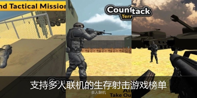 支持多人联机的生存射击游戏榜单