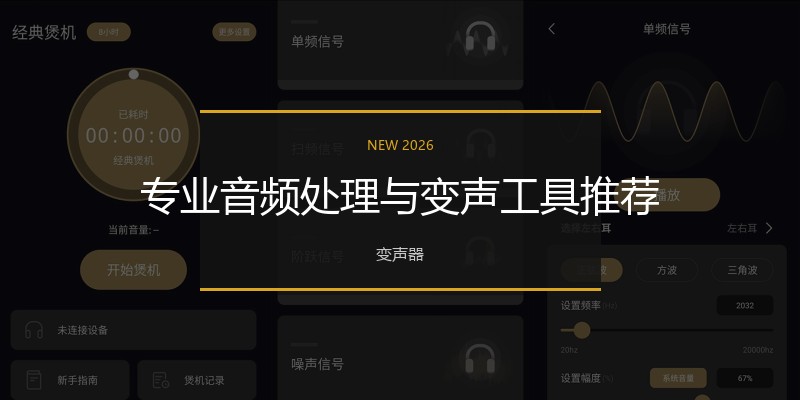 专业音频处理与变声工具推荐