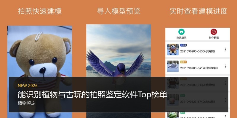 能识别植物与古玩的拍照鉴定软件Top榜单