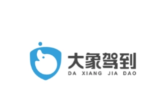 大象驾到pro怎么看学时