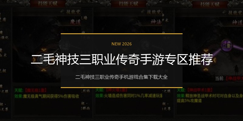 二毛神技三职业传奇手游专区推荐