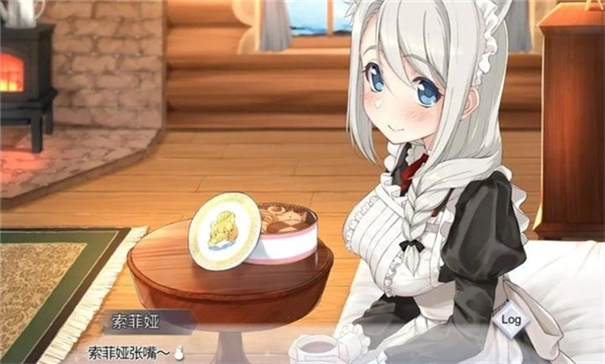 我与索菲亚的秘密汉化版3