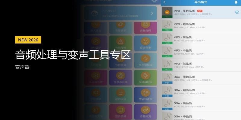 音频处理与变声工具专区