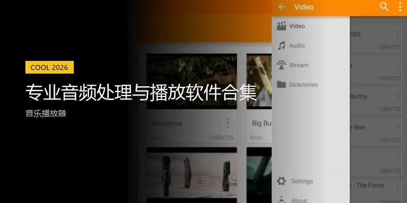 专业音频处理与播放软件合集