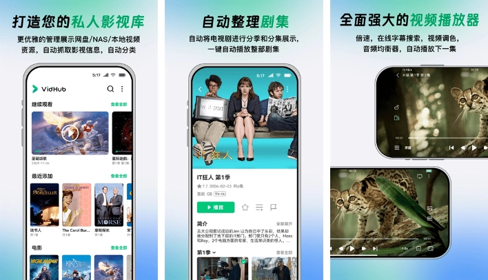 vidhub支持杜比视界吗