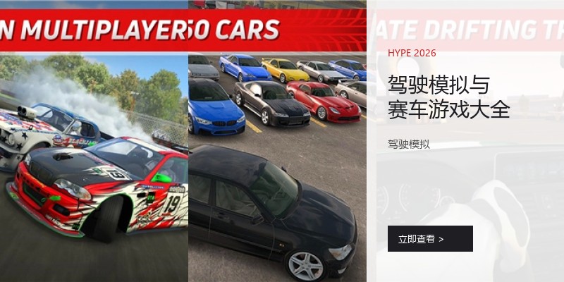 驾驶模拟与赛车游戏大全