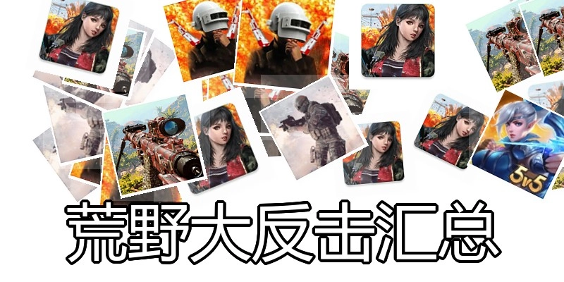 荒野大反击汇总