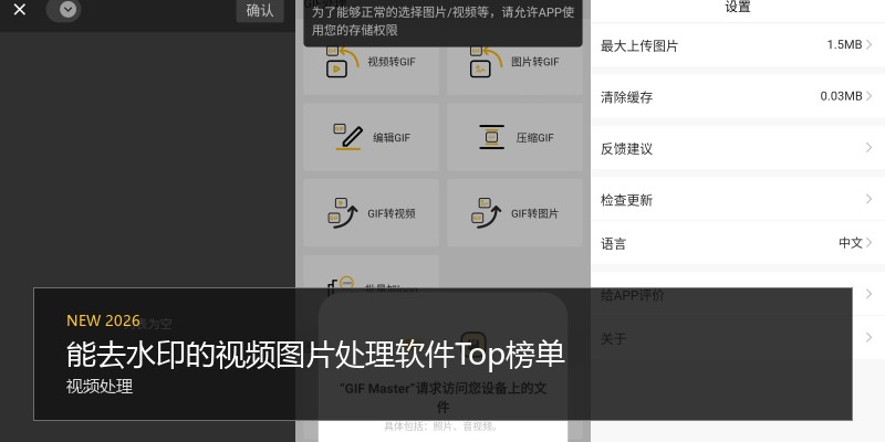 能去水印的视频图片处理软件Top榜单