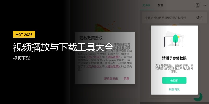 视频播放与下载工具大全