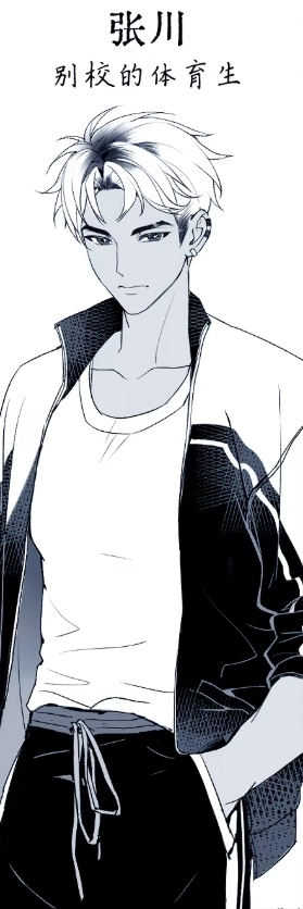 纤维