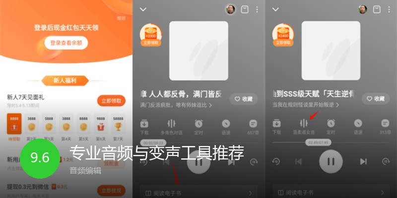 专业音频与变声工具推荐