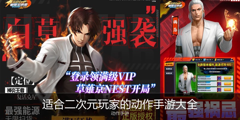 适合二次元玩家的动作手游大全
